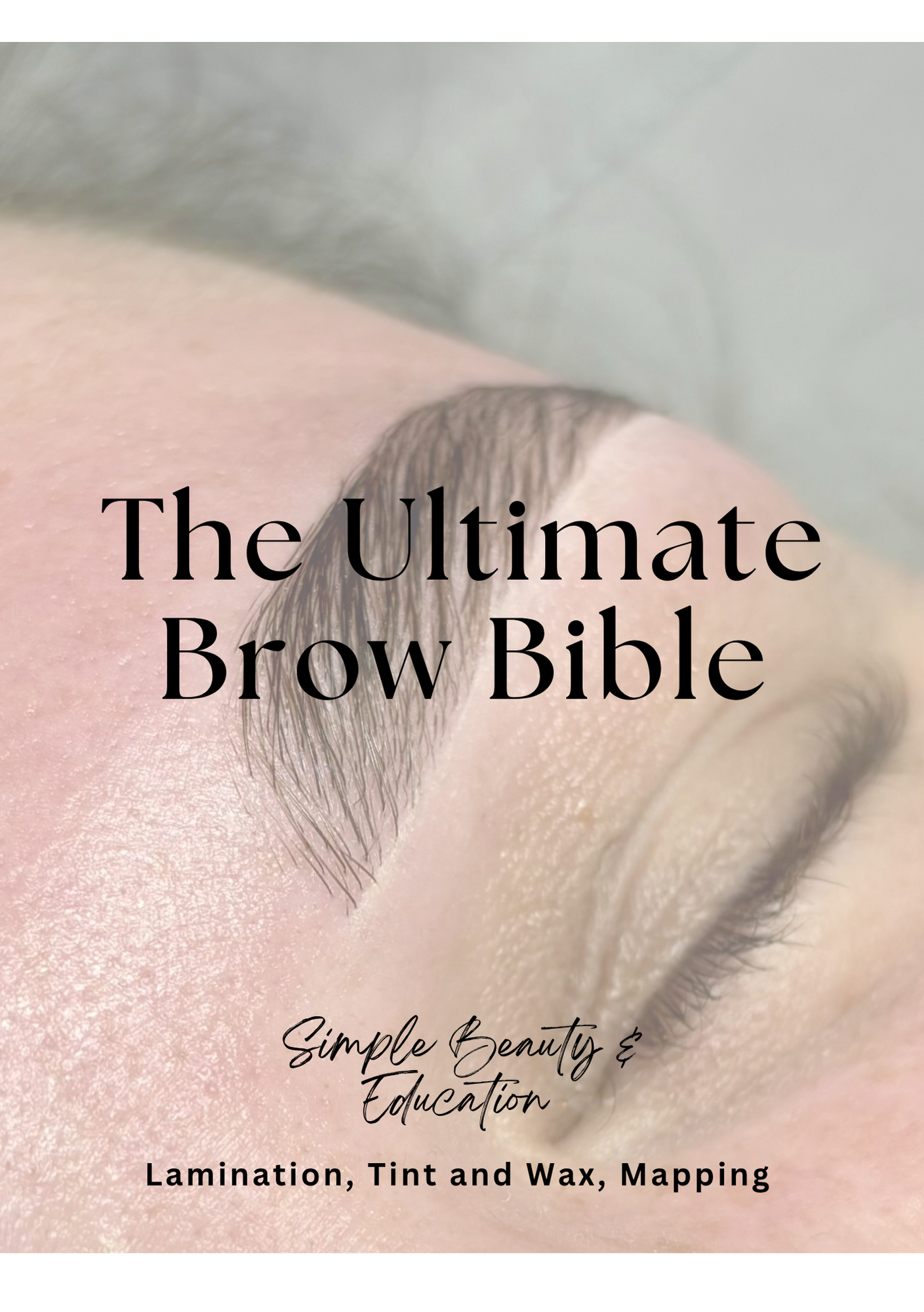 THE ULTIMATE BROW BIBLE